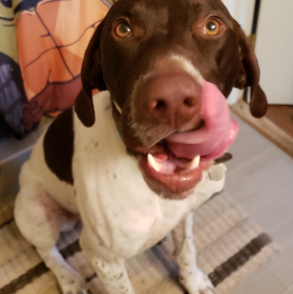 Meet your Posher, James - Picture 1 of 1